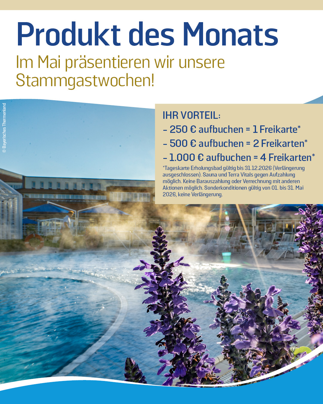 Produkt des Monats Mai 2026