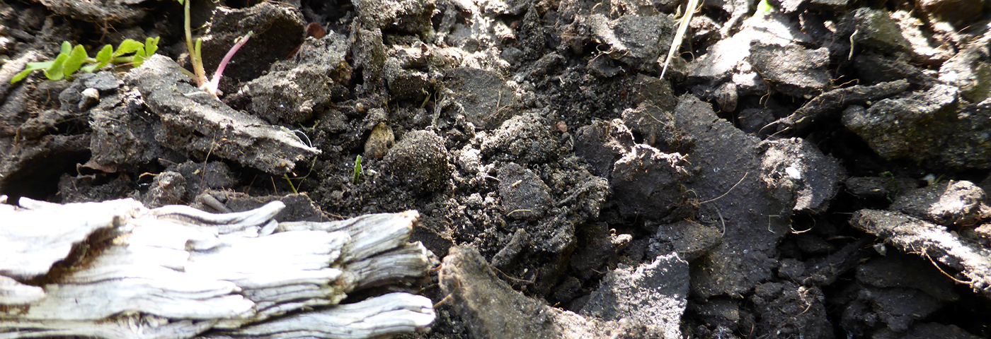 Naturmoor